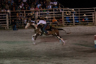 Rodeo!